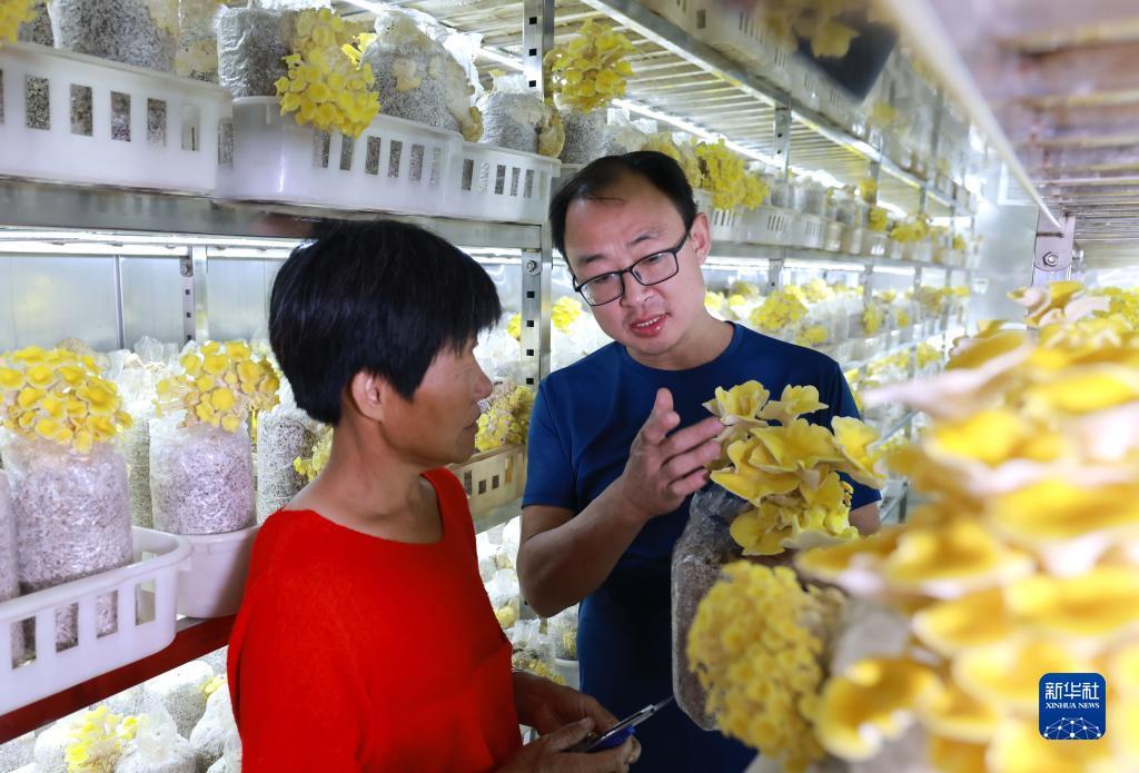 真人白家乐庄闲下载